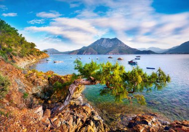 Akdeniz 'in muhteşem yaz deniz manzarası. Musa Dağı, Türkiye, Asya manzaralı Adrasan Körfezi 'nin güneşli sabah manzarası. Doğa konseptinin güzelliği