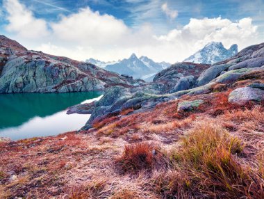 Arka planda Mont Blanc (Monte Bianco) ile Lac Blanc Gölü 'nün egzotik sonbahar manzarası, Chamonix konumu. Vallon de Berard Doğa Koruma Alanı, Graian Alpleri, Fransa, Avrupa.