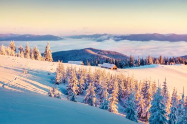 Karpatlar 'daki ilk güneş ışığı parlayan dağ tepeleri ve vadileri. Karla kaplı köknar ağaçları ile dağ çiftliğinde sisli kış gündoğumu. Mutlu yeni yıl kutlamaları. Orton Efekti
