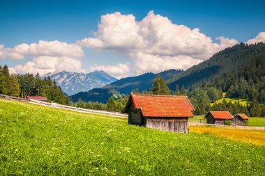 Kaltenbrunn köyü yakınlarındaki yeşil çayır manzaralı. Güneşli bir yaz sabahı Wetterstein Dağları, Bavyera, Almanya, Avrupa. İşlenmiş fotoğraf sonrası sanatsal stil.