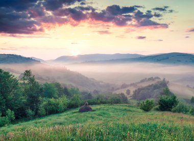 Karpatya dağında muhteşem bir yaz gündoğumu. İlk gün ışığı parlayan sisli dağ tepeleri Transcarpathian bölgesi, Ukrayna, Avrupa. Doğa konseptinin güzelliği.