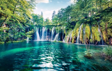 Plitvice Ulusal Parkı 'ndaki temiz su şelalesinin taze sabah manzarası. Hırvatistan, Avrupa 'da küçük gölü olan yeşil ormanın resimli bahar manzarası. Doğa konseptinin güzelliği.