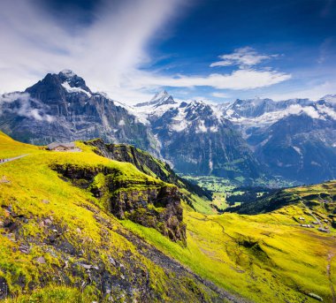 Grindelwald 'ın tepesinden nefes kesici bir yaz sahnesi. Schreckhorn ve Wetterhorn sabah sisinin doruklarında, İsviçre Bernese Alpleri, İsviçre, Avrupa. Doğa konseptinin güzelliği