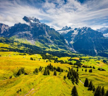 Grindelwald 'ın tepesinden muhteşem bir yaz manzarası. Schreckhorn dağı sabah sisi, Grindelwald köyü konumu, İsviçre Bernese Alpleri, İsviçre, Avrupa.