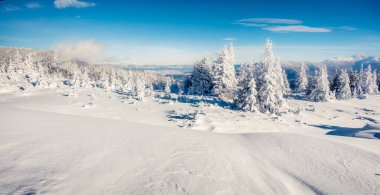 Dağ ormanında güneşli bir sabah manzarası. Karlı ormanda parlak kış manzarası, mutlu yeni yıl kutlaması konsepti. İşlenmiş fotoğraf sonrası sanatsal stil.