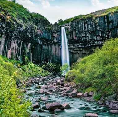 Ünlü Svartifoss (Black Fall) şelalesinin resimli sabah görüntüsü. Skaftafell, Vatnajokull Ulusal Parkı, İzlanda, Avrupa 'da harika bir yaz sahnesi. Instagram filtre tonu.