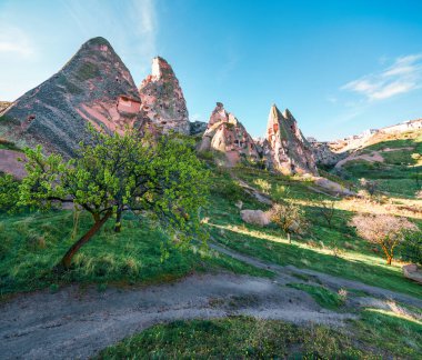 Cappadocia 'nın inanılmaz bahar sahnesi. Uchisar Şatosu 'nda sabahın erken saatlerinde. Türkiye 'nin Orta Anadolu Bölgesi Nevsehir ilinin ünlü Uchisar köyünde gün doğumu, Asya.