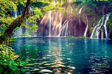 Son güneş ışığı Plitvice Ulusal Parkı 'ndaki saf su şelalesini aydınlatıyor. Mavi göllü yeşil ormanın renkli bahar manzarası. Hırvatistan ve Avrupa 'nın kırsal manzarası harika. Doğa konseptinin güzelliği
