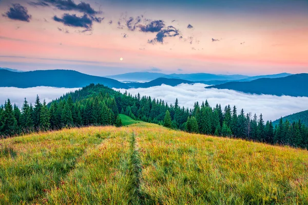 Karpatya Dağlarında Sisli Yaz Gündoğumu Ukrayna Ukrayna Lisniv Tepesinin Heyecanlı — Stok fotoğraf