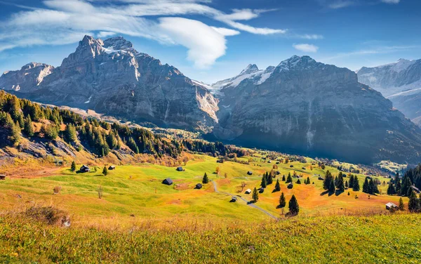高山草原の黄金の色 ロープウェイからGrindelwald村の谷の空中秋の景色 ウェッターホルンとウェルホーン山脈 スイスアルプス スイス ヨーロッパの雄大な朝の景色 — ストック写真