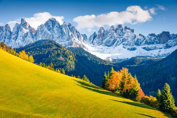 GeislerまたはOdle Dolomites Groupの前にあるSanta Maddalena村の丘の壮大な景色 ドロマイトアルプス イタリア ヨーロッパのカラフルな秋のシーン 自然の概念の背景の美しさ — ストック写真