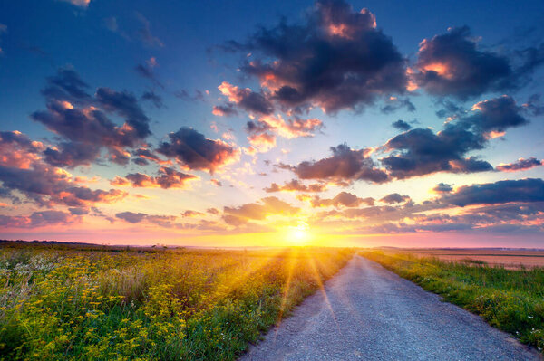 Dramatic summer sunrise in the countryside with old road. Picturesque morning scene with a field of blooming flowers. Beauty of countryside concept background