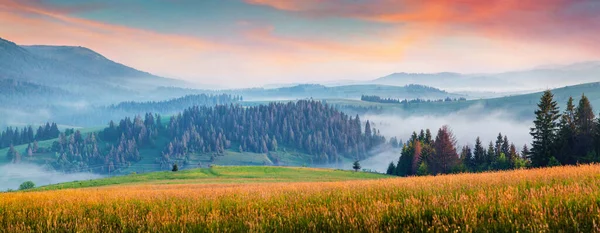 Panorama Matinal Vallée Des Montagnes Lever Soleil Été Attrayant Dans — Photo