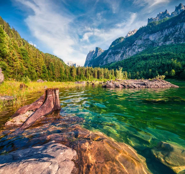 Märchenhafte Sommerszene Vorderer Gosausee Malerischer Morgenblick Auf Die Österreichischen Alpen — Stockfoto