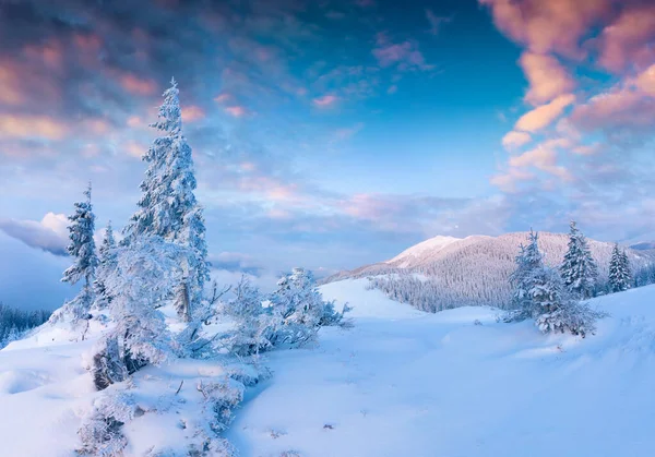 山の中で見事なクリスマスシーン 霧の朝のカラフルな冬の日の出 カルパチア国立公園 ウクライナ ヨーロッパ 芸術風のポスト処理写真 — ストック写真