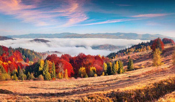 Туманная утренняя сцена в горной деревне. Красочный осенний восход солнца в Карпатах, Украина, Европа. Художественный стиль после обработки фото.