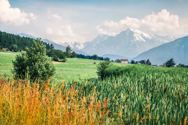 Okouzlující Letní Scenérie Ortleru Jezera Haidersee Lago Della Muta Nádherný — Stock fotografie