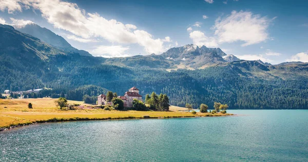 Sunny Summer Panorama Sils Lake Picturesque Outdoor Scene Swiss Alps — Stock Photo, Image