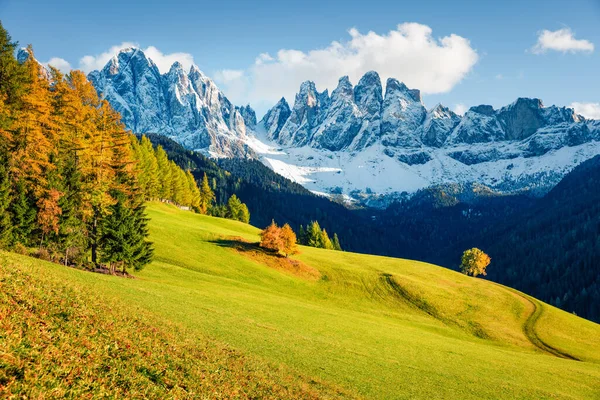 GeislerまたはOdle Dolomites Groupの前にあるSanta Magradena村の丘の素晴らしい景色 ドロマイトアルプス イタリア ヨーロッパの息をのむような秋のシーン 田舎のコンセプトの背景の美しさ — ストック写真