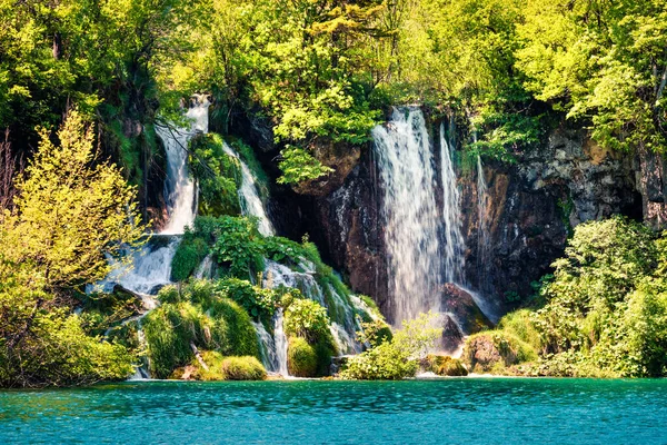 Gyönyörű Reggeli Helyszín Plitvicei Nemzeti Parkban Színes Tavaszi Kilátás Zöld — Stock Fotó