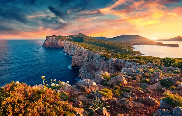 Panoramablick Auf Das Kap Caccia Erstaunlicher Frühlingssonnenaufgang Auf Der Insel — Stockfoto