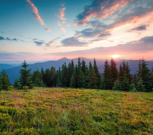 Dağlarda renkli yaz günbatımı. Karpatlar, Ukrayna, Avrupa 'da bir tepe ve vadide parlayan son güneş ışığı. İşlenmiş fotoğraf sonrası sanatsal stil
