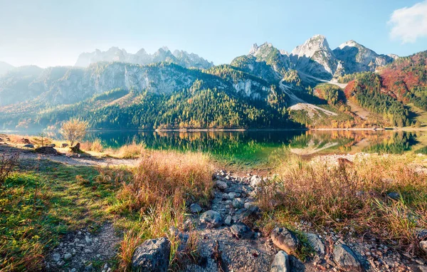 Helle Herbstszene Vorderer Gosausee Malerischer Morgenblick Auf Die Österreichischen Alpen — Stockfoto