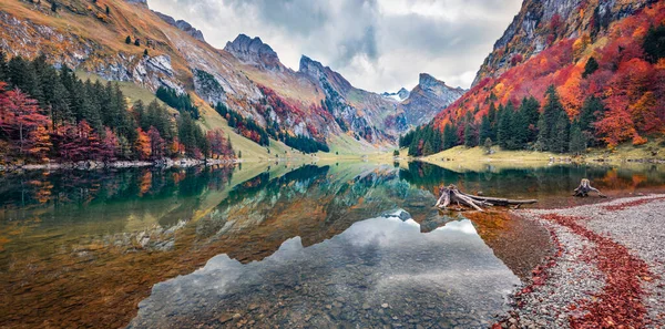 Morgenpanorama Auf Den Seealpsee Farbenfrohe Herbstlandschaft Der Schweizer Alpen Der — Stockfoto