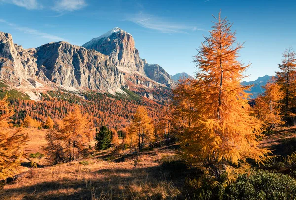 Espléndida Vista Desde Cima Del Paso Falzarego Con Montaña Lagazuoi —  Fotos de Stock