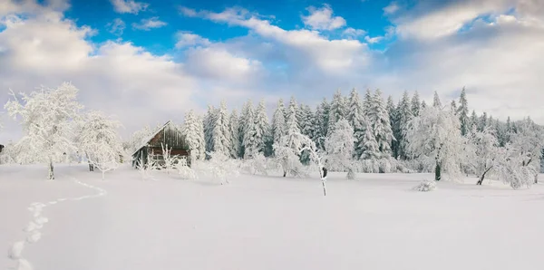 在喀尔巴阡山村的一个雾蒙蒙的冬日清晨 花园里覆盖着积雪的树木 美丽的户外风景 新年佳节的理念 艺术风格经处理后的照片 — 图库照片