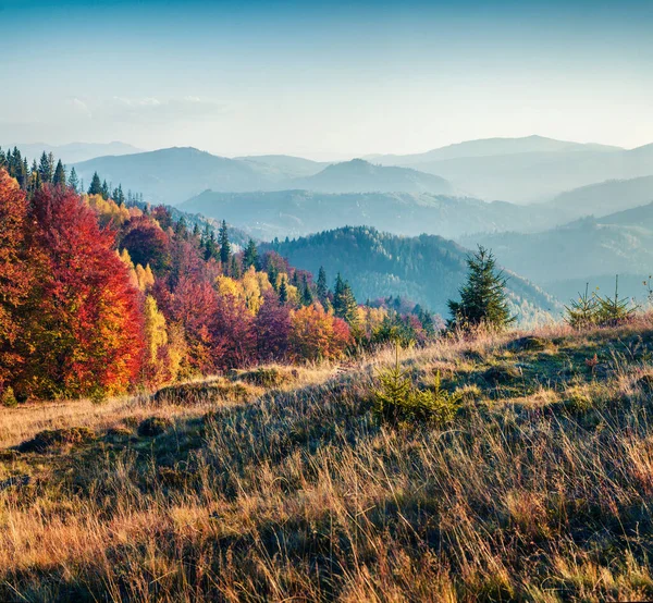 Báječná Podzimní Scéna Karpat Vzrušující Ranní Pohled Horské Údolí Ukrajina — Stock fotografie