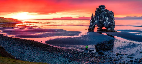 Vatnsnes Yarımadasının Doğu Kıyısındaki Hvitserkur Bazalt Yığını Kuzeybatı Zlanda Avrupa — Stok fotoğraf