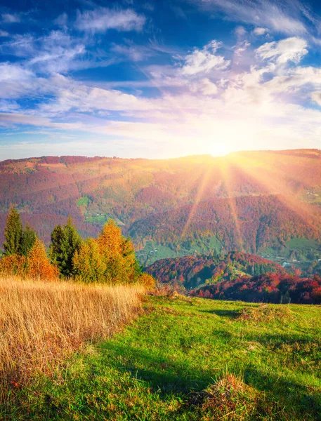 Atemberaubender Herbstsonnenaufgang Den Karpaten Bunte Morgenszene Gebirgstal Künstlerischer Stil Nachbearbeitetes — Stockfoto