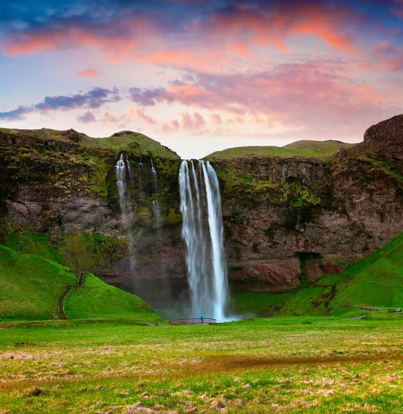 Morgonutsikt Över Seljalandfoss Vattenfall Seljalandsa Älv Sommaren Färgglad Soluppgång Island — Stockfoto