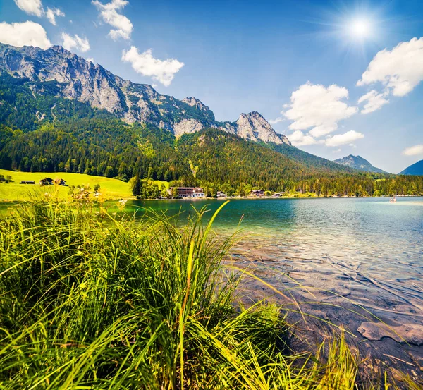 Piękny Letni Poranek Nad Jeziorem Hintersee Kolorowa Scena Plenerowa Austriackich — Zdjęcie stockowe