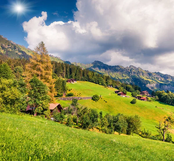 Kolorowy Letni Widok Wioskę Wengen Piękna Scena Plenerowa Alpach Szwajcarskich — Zdjęcie stockowe