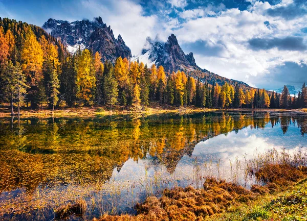 Bunte Morgensicht Der Dolomiten Provinz Belluno Italien Europa Dramatische Herbstszene — Stockfoto