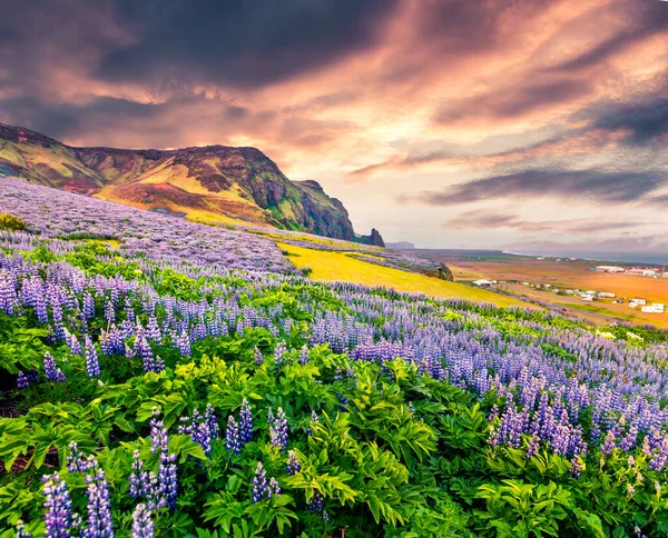 Majestic Καλοκαιρινή Ανατολή Στη Νότια Ακτή Της Ισλανδίας Vik Τοποθεσία — Φωτογραφία Αρχείου