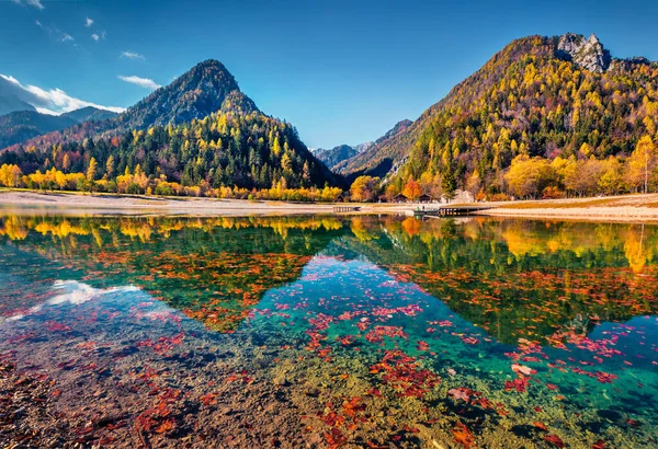 淡红色的山毛榉叶子漂浮在平静的湖面上 雅斯纳湖温暖的秋天景色 位于斯洛文尼亚戈兹德 马蒂耶克的朱利安 阿尔卑斯山脉美妙的下午景象 — 图库照片