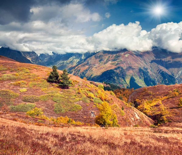 Colorful Autumn Scene Caucasus Mountains Beautiful Landscape Two Fir Trees — Stock Photo, Image