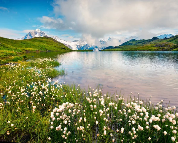 Mattina Estiva Soleggiata Sul Lago Bachalpsee Con Pace Schreckhorn Wetterhorn — Foto Stock