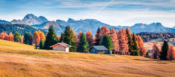 秀丽的高山高原户外全景 美丽的黄落叶松 五彩缤纷的秋日清晨 在意大利 欧洲的白云石阿尔卑斯山 乡村音乐的美感背景 — 图库照片
