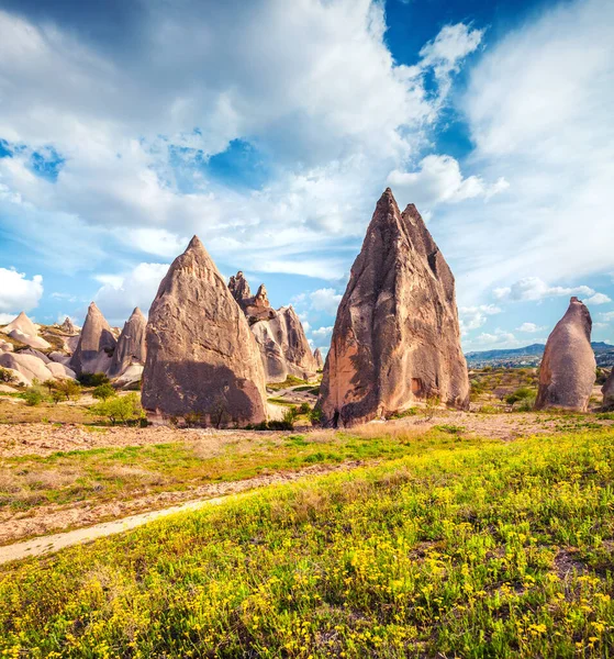 Cappadocia Nın Güzel Bir Bahar Sahnesi Nisan Ayındaki Kırmızı Gül — Stok fotoğraf