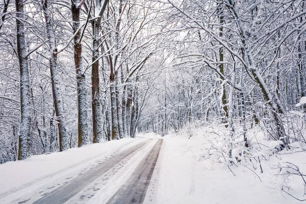 Tomma Landsvägen Den Snöiga Skogen Vacker Vinterscen Med Träd Täckt — Stockfoto