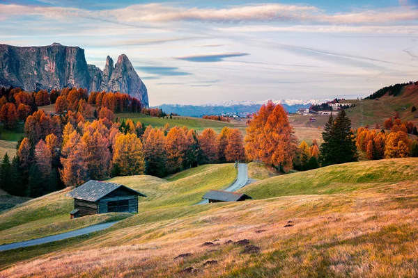 背景に美しい黄色のカラマツの木とシュルナー 山とアルプ シウシの信じられないほどの屋外シーン ドロマイト アルプスのカラフルな秋の朝 オルティスの場所 イタリア ヨーロッパ — ストック写真