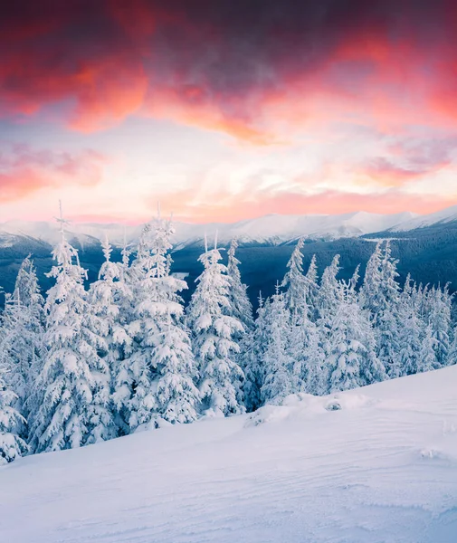 Lever Soleil Dramatique Hiver Dans Les Montagnes Des Carpates Avec — Photo