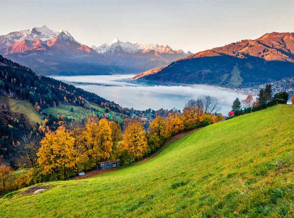 Maravillosa Vista Del Lago Zell Colorido Amanecer Otoño Ciudad Austriaca —  Fotos de Stock