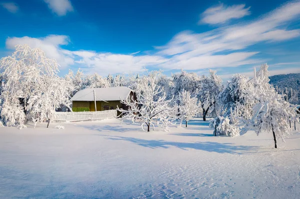 Güneşli bir günde dağ köyünde muhteşem bir Noel sahnesi. Karpatlar, Ukrayna, Avrupa 'daki güzel kış manzaraları. İşlenmiş fotoğraf sonrası sanatsal stil.