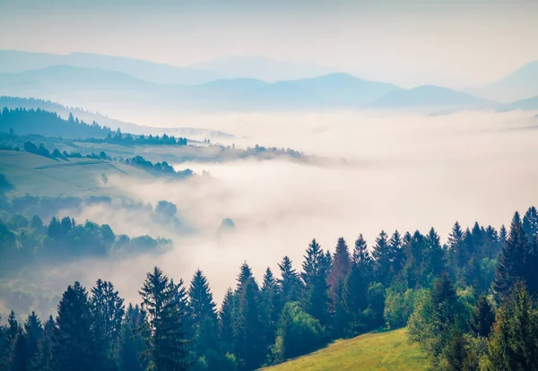Karpat dağlarının puslu yaz manzarası. Borzhava dağ sırtı, Transcarpathian, Ukrayna, Avrupa 'nın muhteşem sabah manzarası. Doğa konseptinin güzelliği.