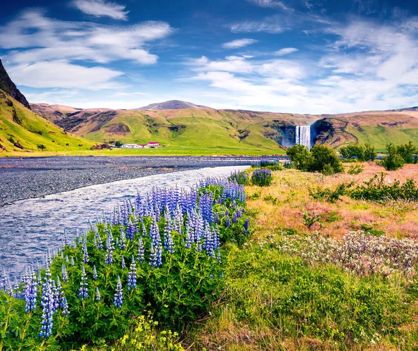 Υπέροχη Θέα Καλοκαίρι Του Skogafoss Καταρράκτη Στον Ποταμό Skoga Πολύχρωμη — Φωτογραφία Αρχείου